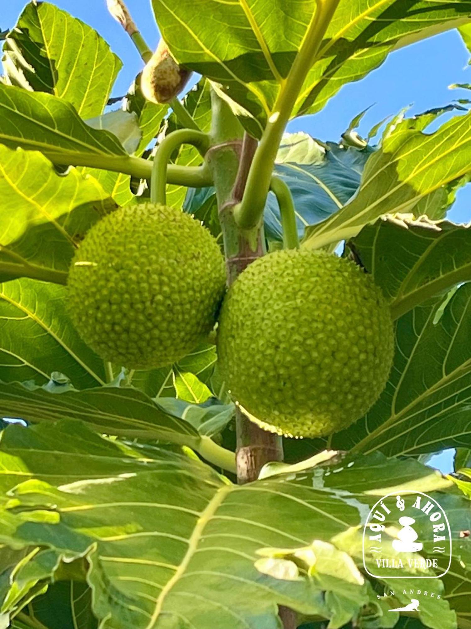 Aqui Ahora At Villa Verde San Andrés Kültér fotó
